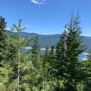 Meet your Posher, Harley